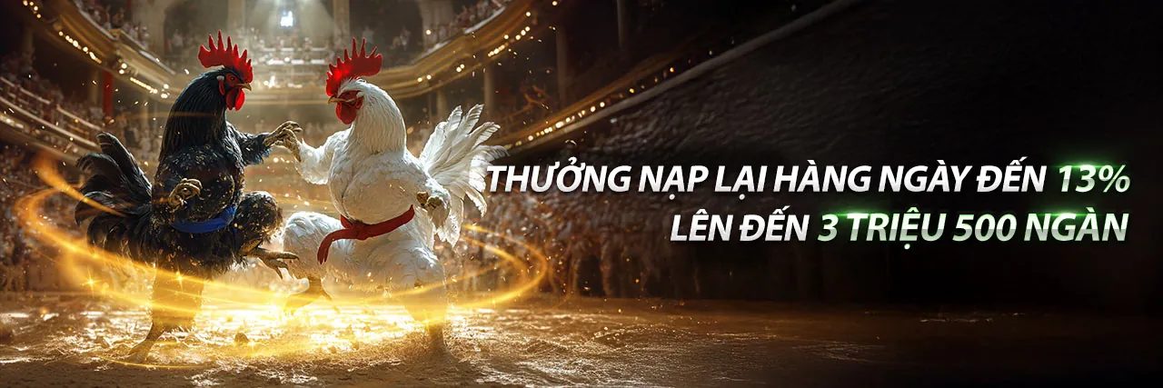 Đá gà trực tuyến tại nhà cái bwin - Trận đấu gay cấn