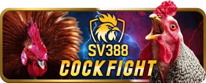 Đánh giá thương hiệu nhà cái bwin uy tín