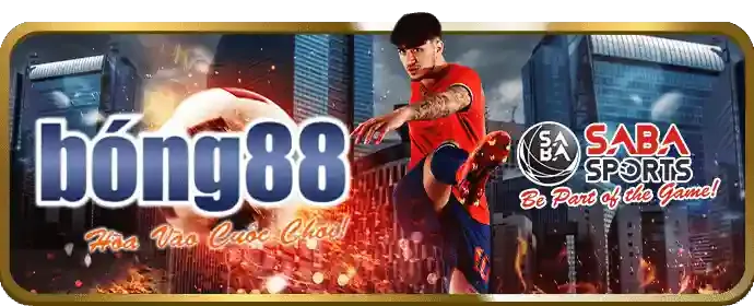 Cookie trên trình duyệt khi truy cập game bwin